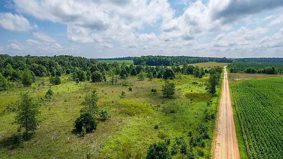 11.7 Acres of Agricultural Land for Sale in Stapleton, Georgia