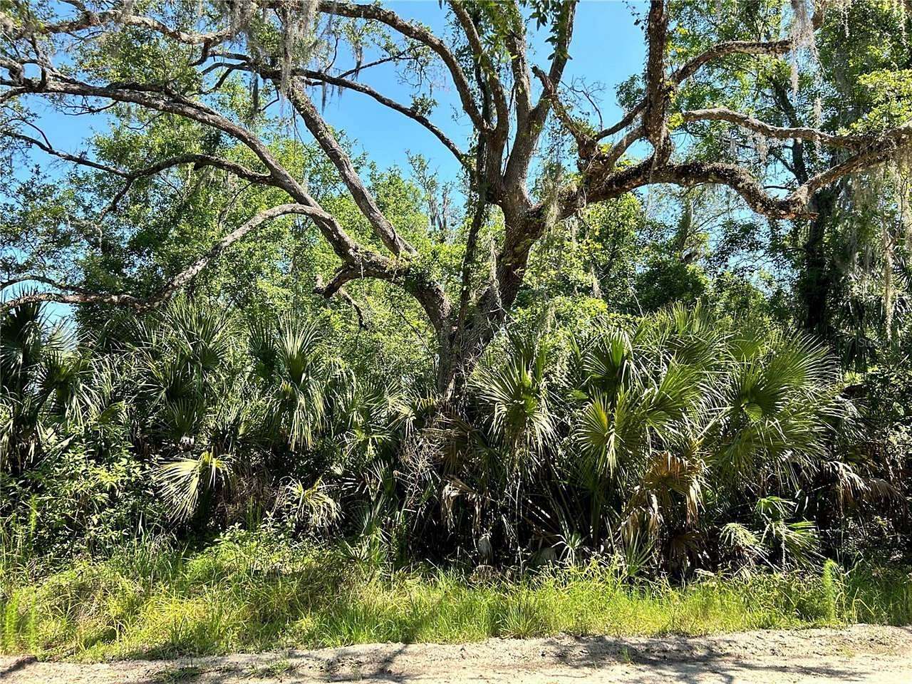 1.17 Acres of Residential Land for Sale in Georgetown, Florida
