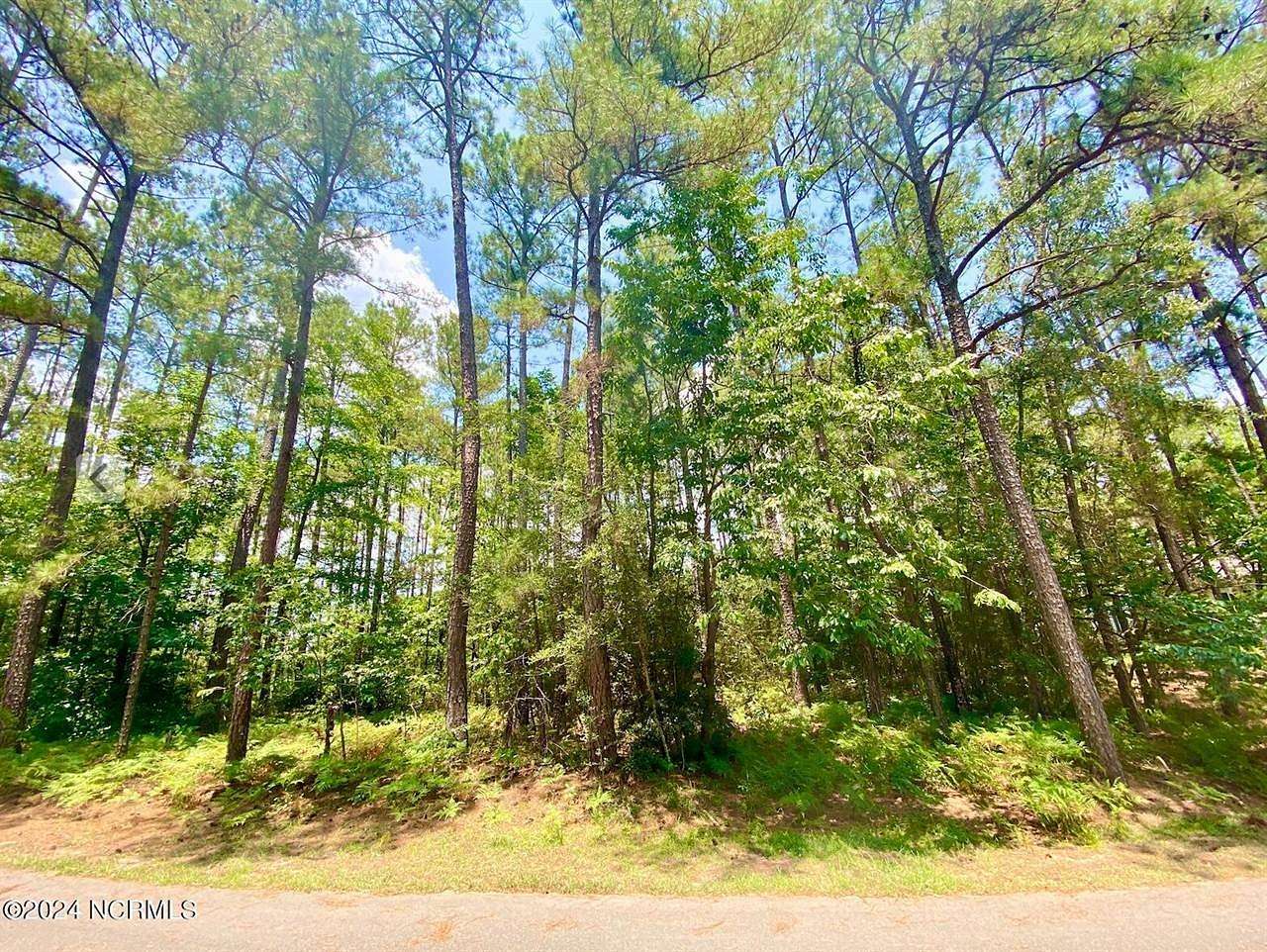 0.49 Acres of Residential Land for Sale in Wagram, North Carolina