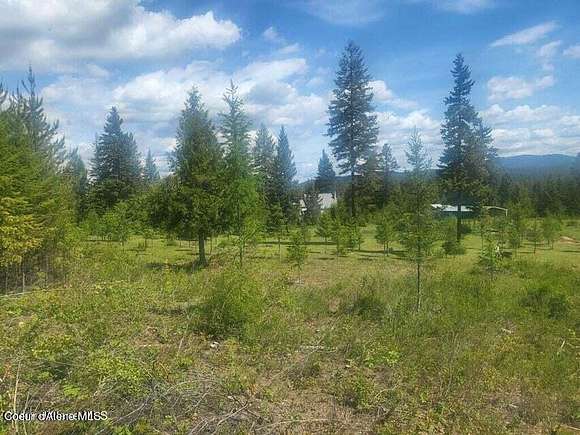 4.75 Acres of Residential Land for Sale in Spirit Lake, Idaho