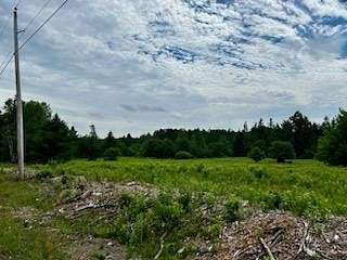 33 Acres of Recreational Land for Sale in Pembroke, Maine