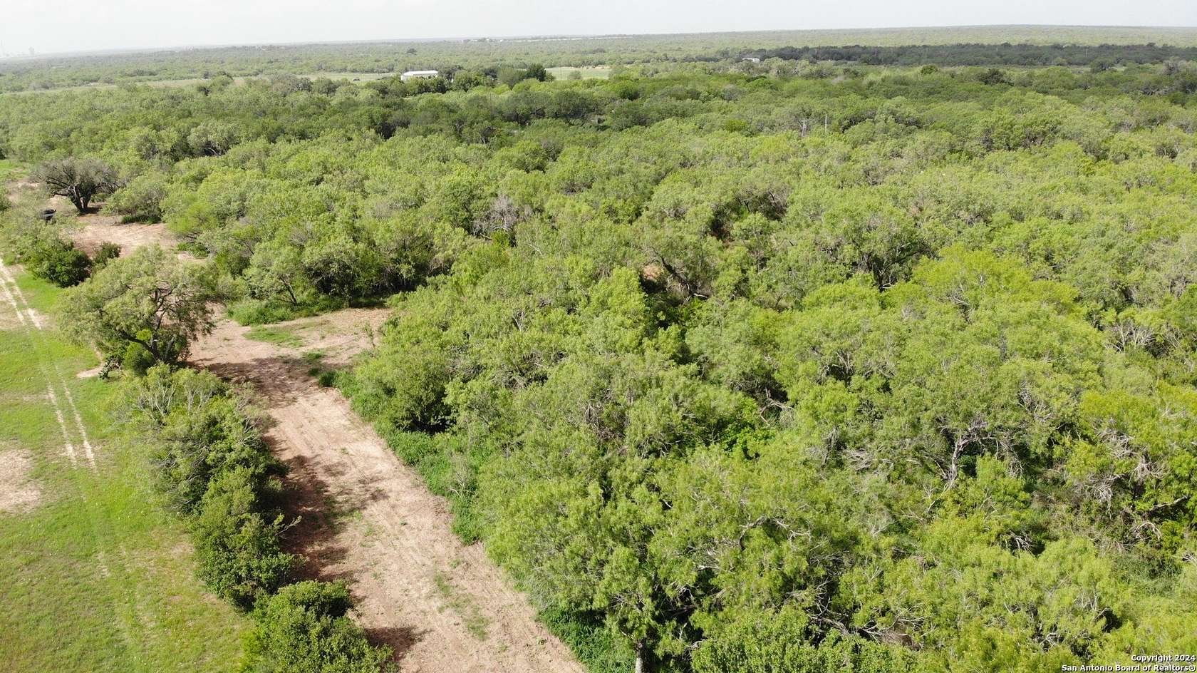 0.64 Acres of Land for Sale in Christine, Texas