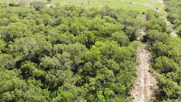 0.16 Acres of Land for Sale in Christine, Texas