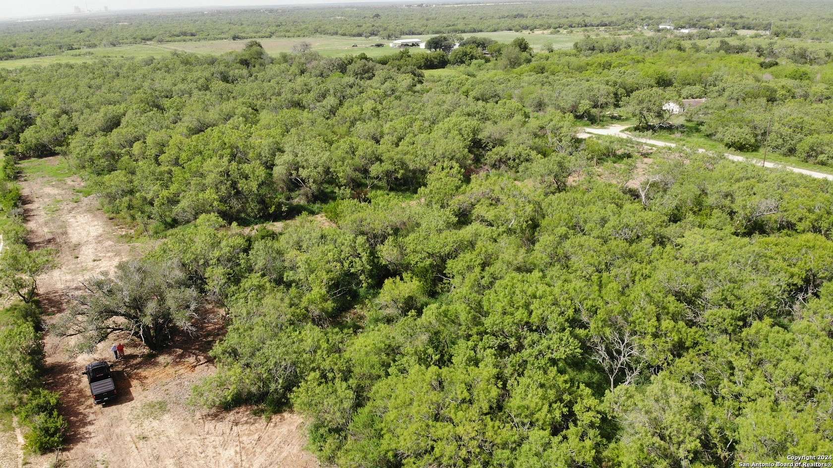 0.16 Acres of Land for Sale in Christine, Texas
