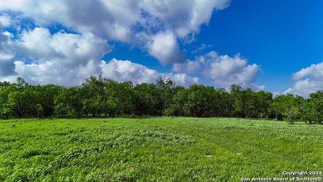 12 Acres of Land for Sale in Seguin, Texas