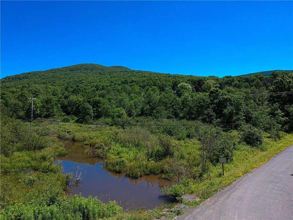 297.3 Acres of Land for Sale in Roxbury, New York