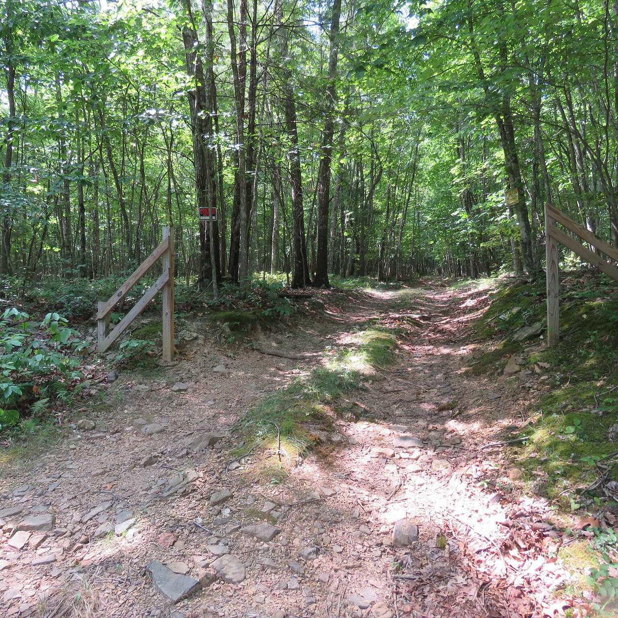 26.07 Acres of Recreational Land for Sale in New Castle, Virginia