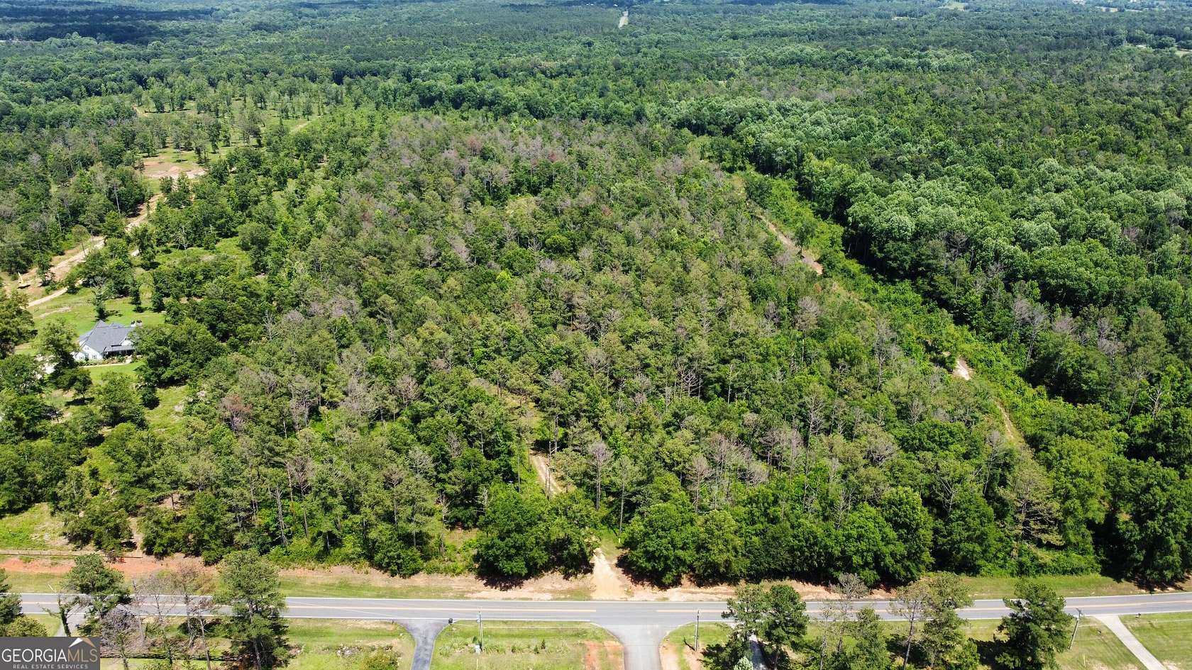 30.39 Acres of Recreational Land for Sale in Hawkinsville, Georgia