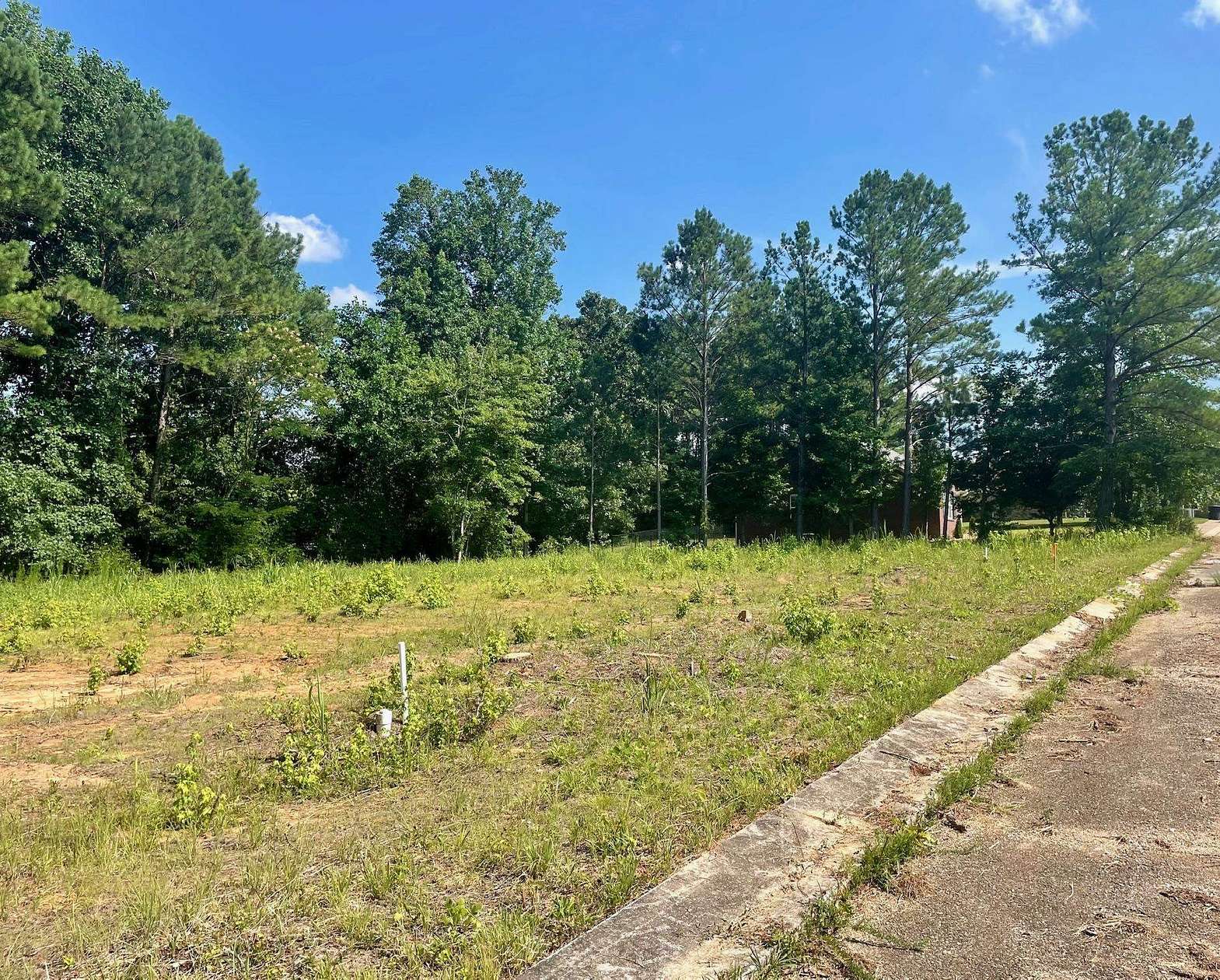 0.31 Acres of Residential Land for Sale in Iuka, Mississippi