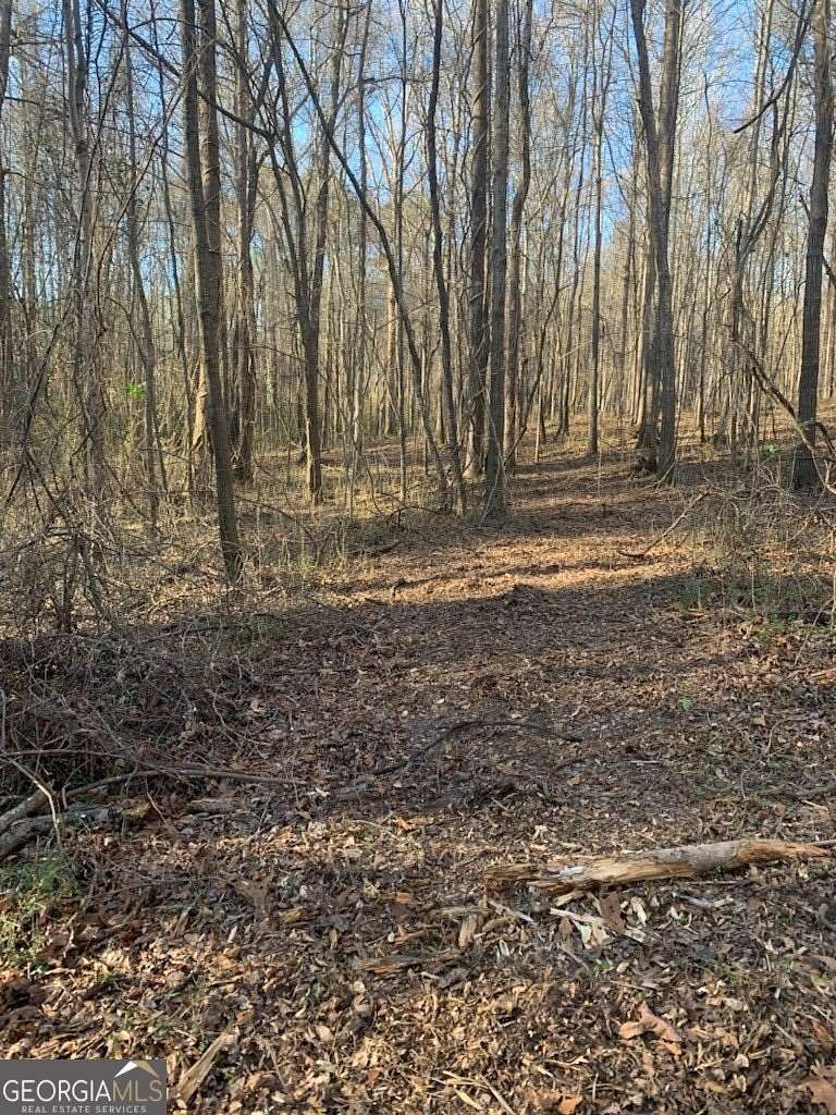 27.15 Acres of Recreational Land for Sale in Senoia, Georgia