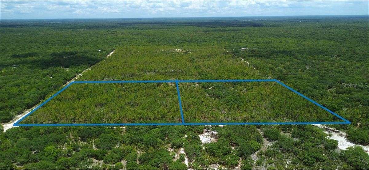 42 Acres of Recreational Land for Sale in Bronson, Florida