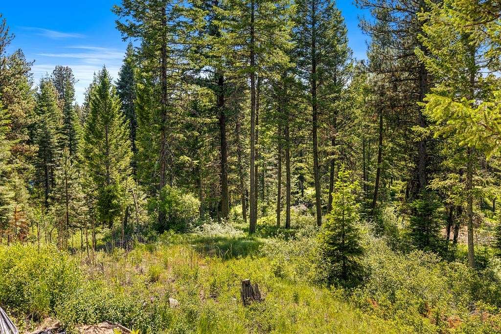 1.49 Acres of Residential Land for Sale in McCall, Idaho