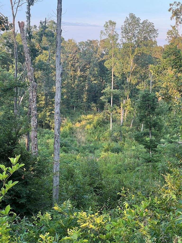 40 Acres of Recreational Land for Sale in Wynne, Arkansas