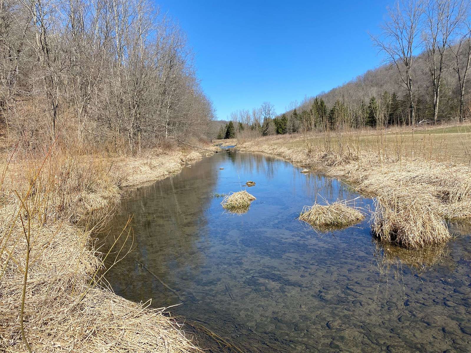 53 Acres of Recreational Land & Farm for Sale in Readstown, Wisconsin