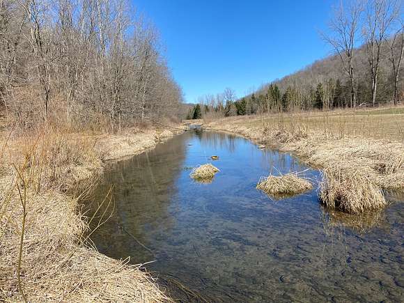 53 Acres of Recreational Land & Farm for Sale in Readstown, Wisconsin