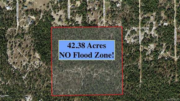42.38 Acres of Agricultural Land for Sale in Dunnellon, Florida