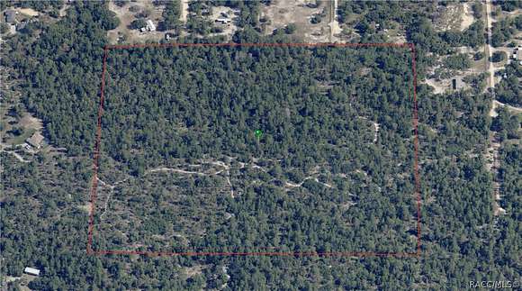 42.38 Acres of Agricultural Land for Sale in Dunnellon, Florida