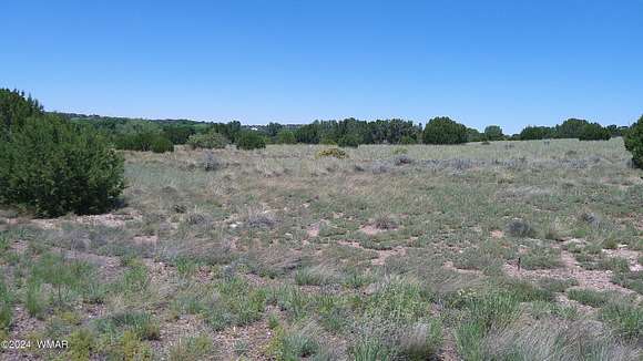 0.34 Acres of Residential Land for Sale in Concho, Arizona