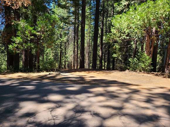 1.1 Acres of Residential Land for Sale in Arnold, California