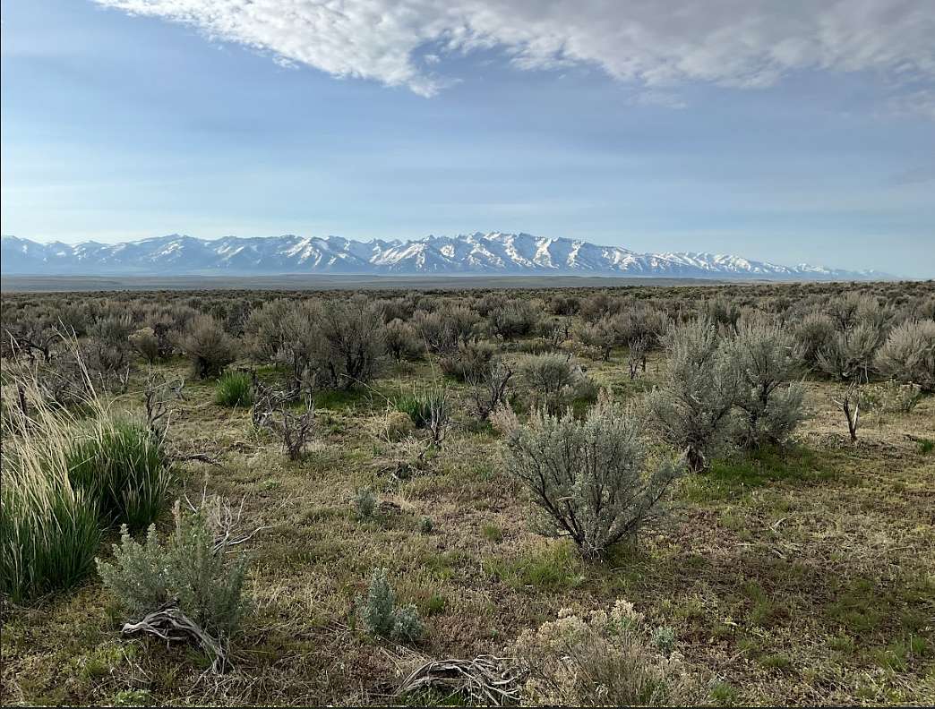 1.13 Acres of Residential Land for Sale in Spring Creek, Nevada