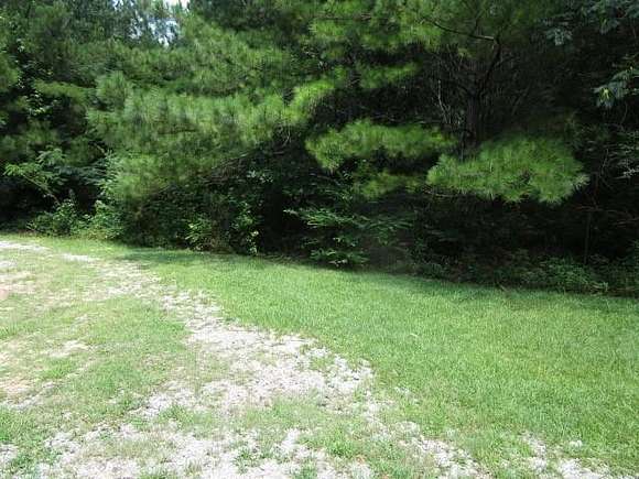 5 Acres of Residential Land for Sale in Pollock, Louisiana