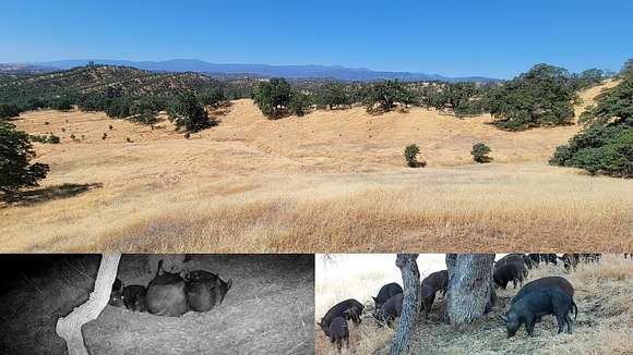 40 Acres of Recreational Land for Sale in Ono, California