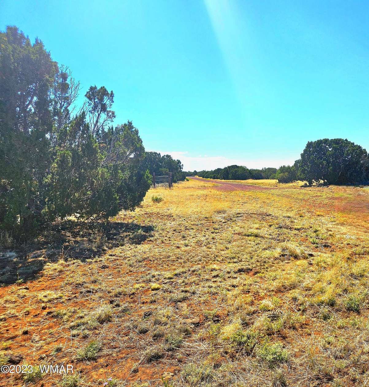 1.18 Acres of Residential Land for Sale in Concho, Arizona