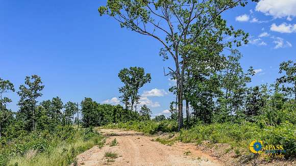 53 Acres of Recreational Land for Sale in Waverly, Tennessee