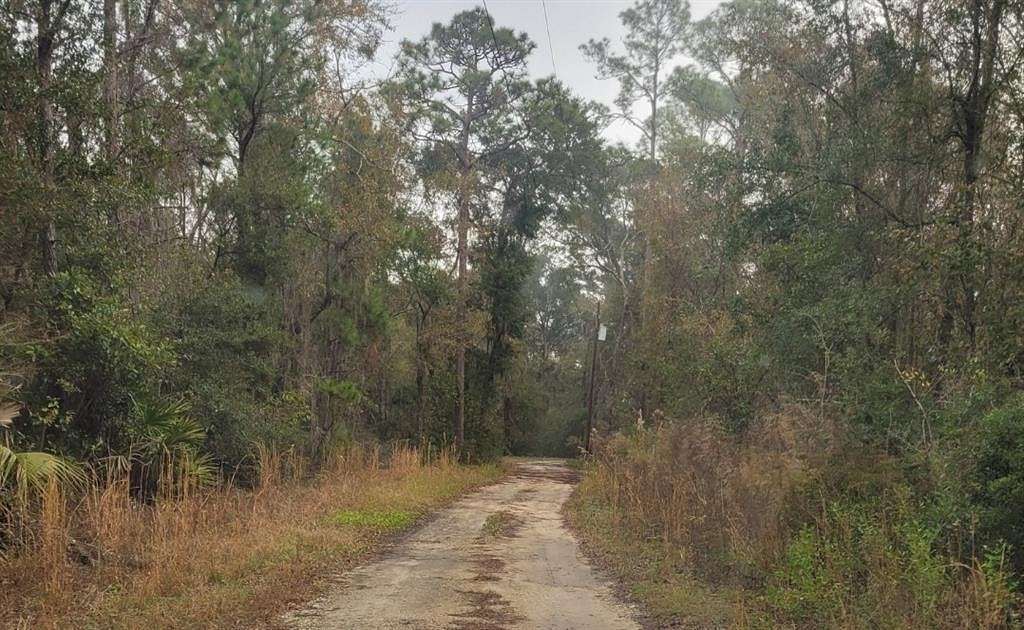 9.3 Acres of Residential Land for Sale in Brunswick, Georgia