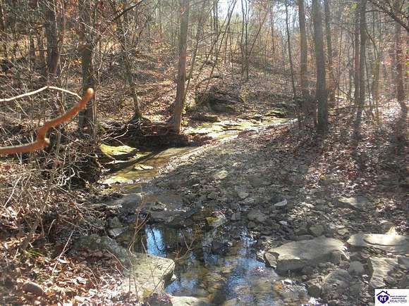 37.8 Acres of Recreational Land for Sale in Bowling Green, Kentucky