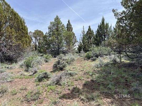 160 Acres of Agricultural Land for Sale in Bly, Oregon