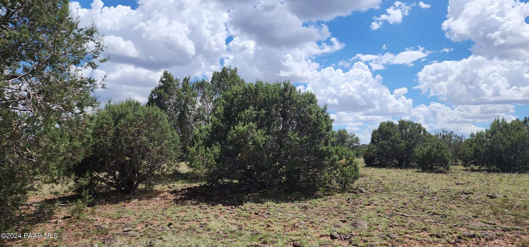 10.5 Acres of Recreational Land for Sale in Seligman, Arizona