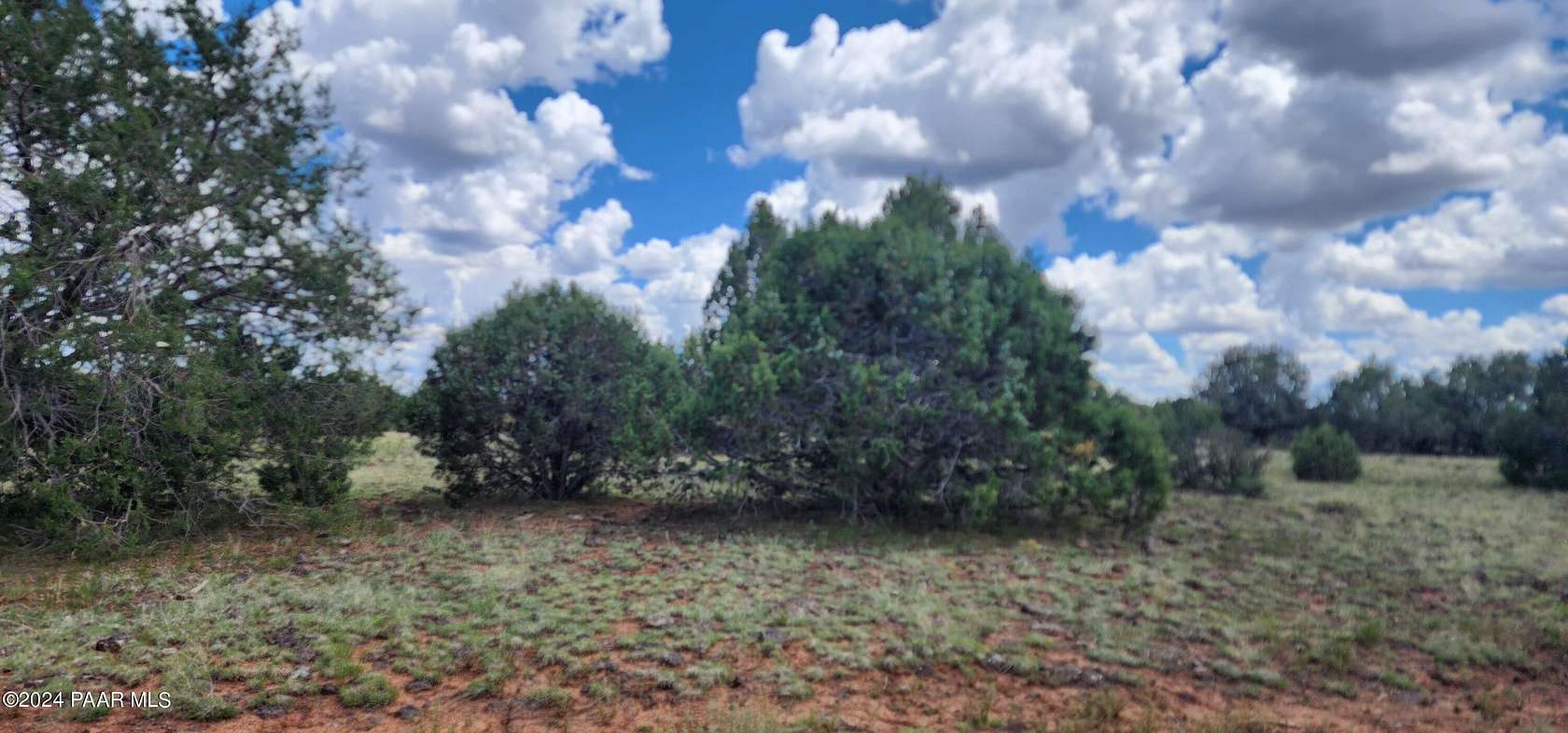 5 Acres of Land for Sale in Seligman, Arizona