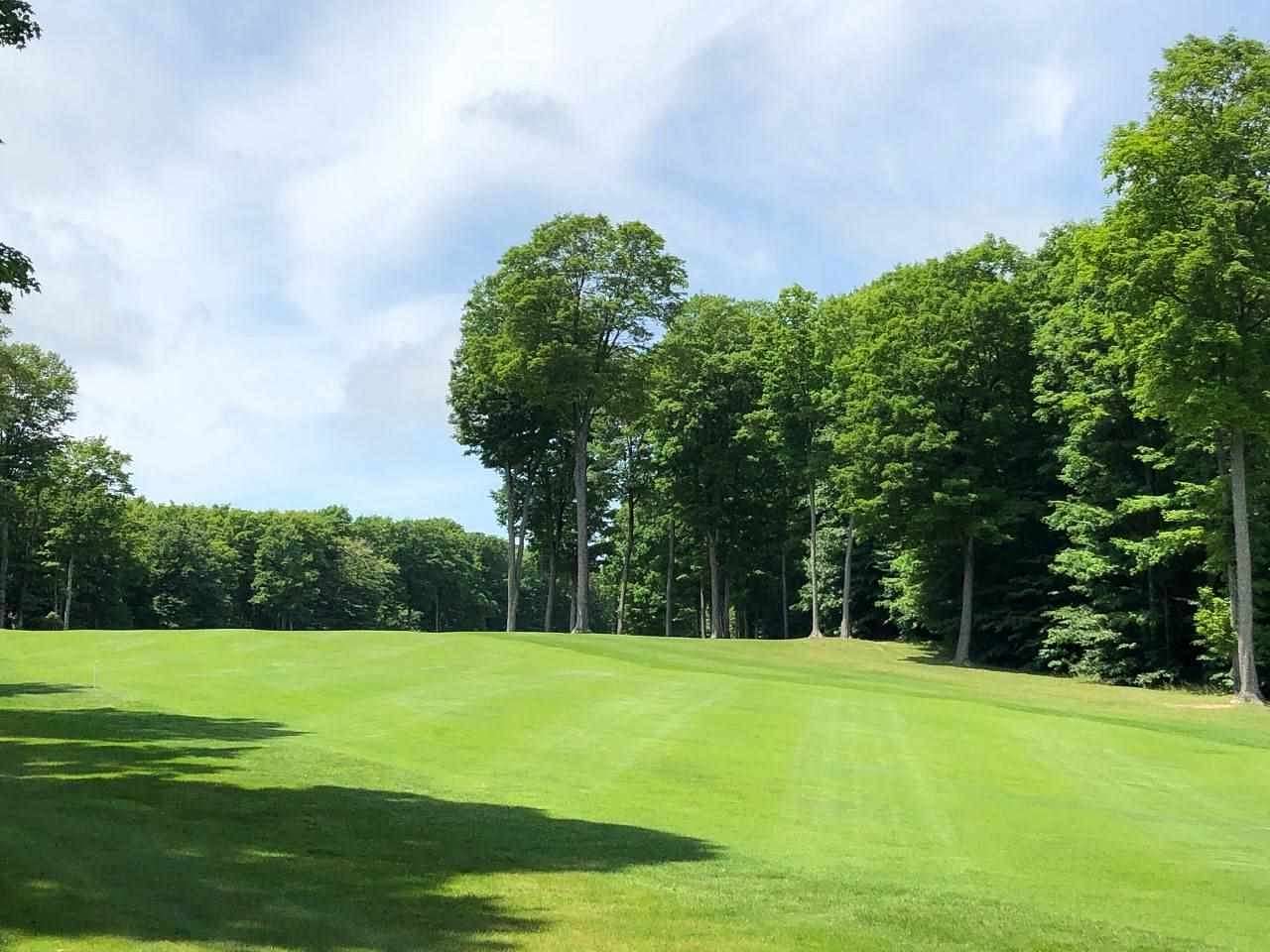 1 Acres of Residential Land for Sale in Harbor Springs, Michigan