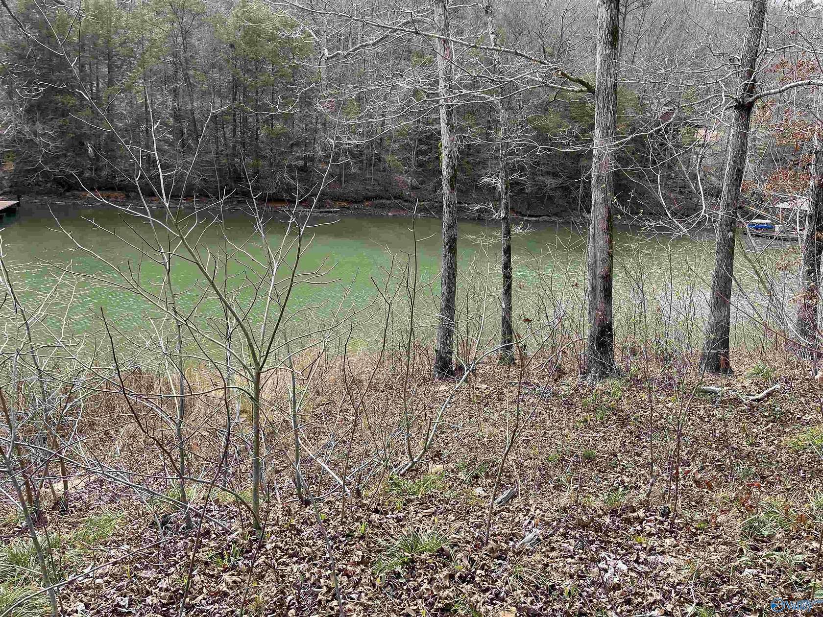 0.7 Acres of Land for Sale in Arley, Alabama