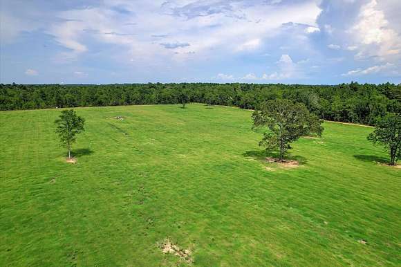27.42 Acres of Agricultural Land for Sale in Wagener, South Carolina