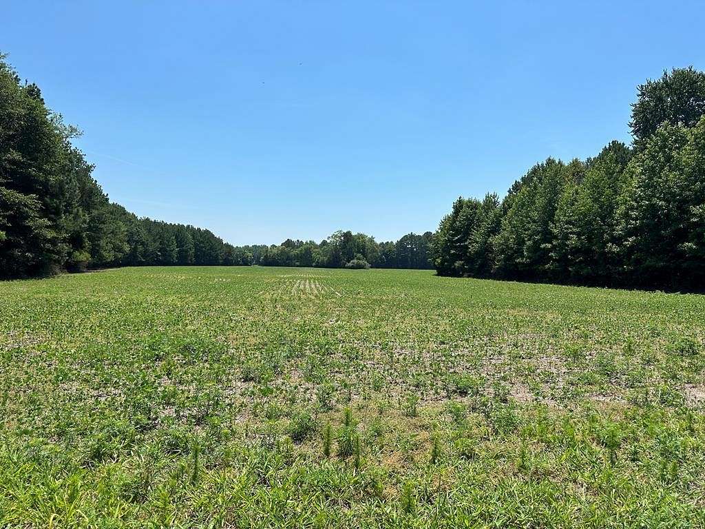 12.25 Acres of Land for Sale in Lively, Virginia