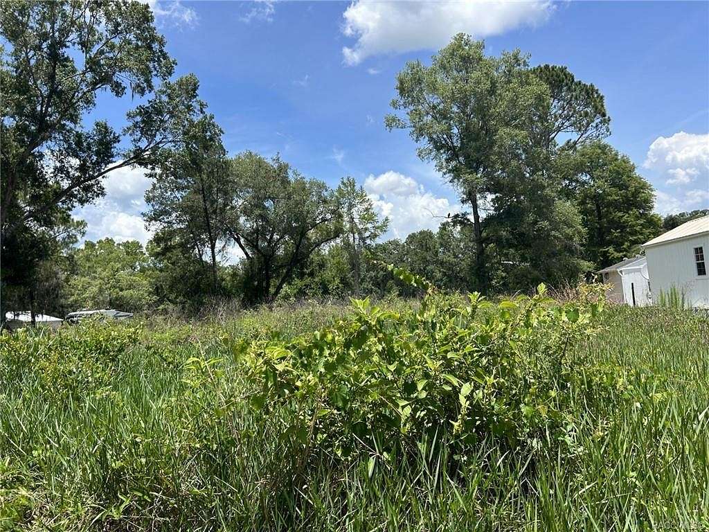 0.29 Acres of Land for Sale in Hernando, Florida