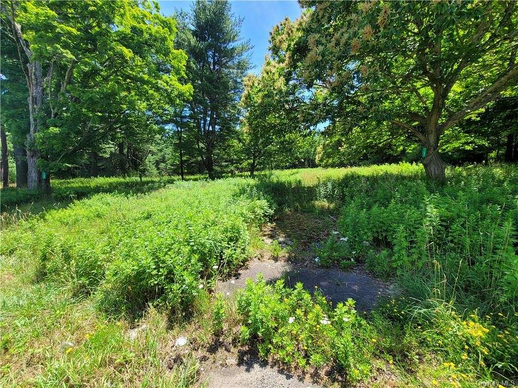 30.9 Acres of Land for Sale in Bethel, New York