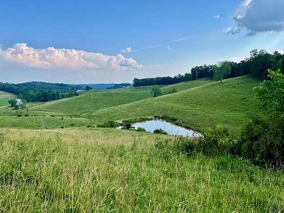 40 Acres of Agricultural Land for Sale in Wellington, Kentucky