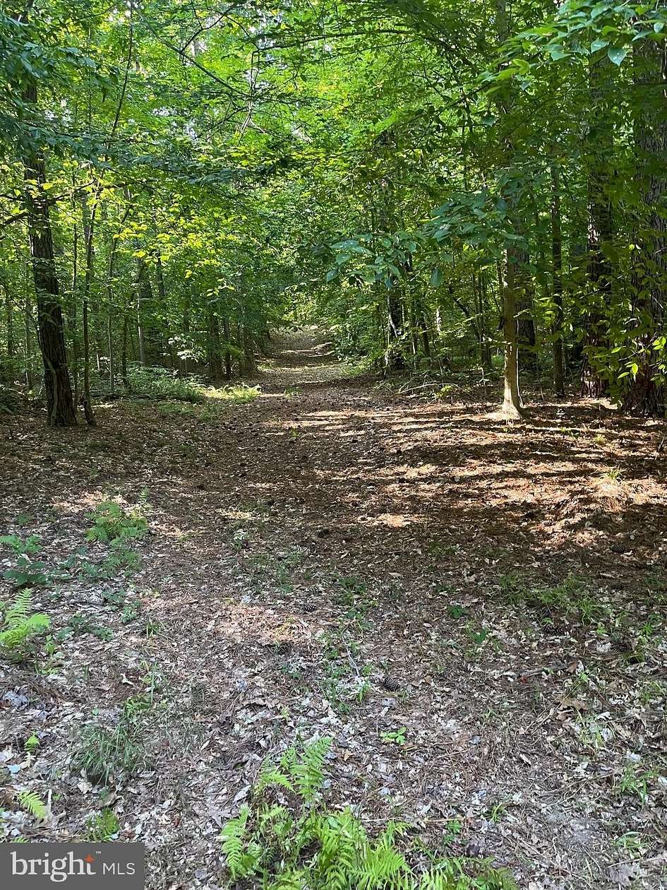 9.09 Acres of Residential Land for Sale in Charlotte Hall, Maryland