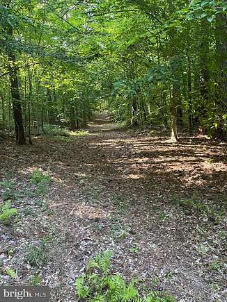 9.09 Acres of Land for Sale in Charlotte Hall, Maryland