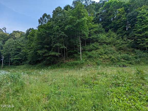 53.28 Acres of Recreational Land for Sale in Hiltons, Virginia