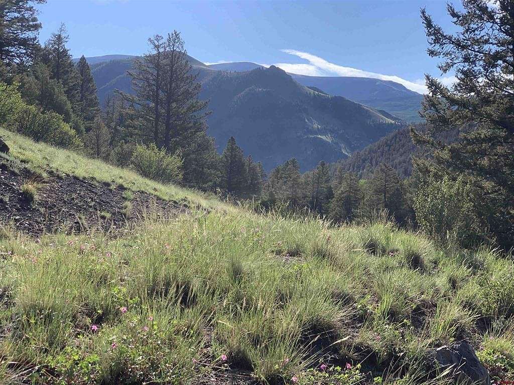 10.3 Acres of Land for Sale in Lake City, Colorado