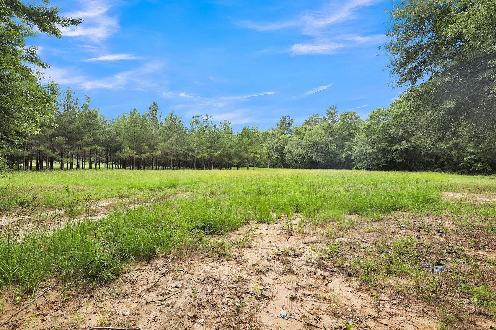 115 Acres of Land for Sale in Tyler, Texas