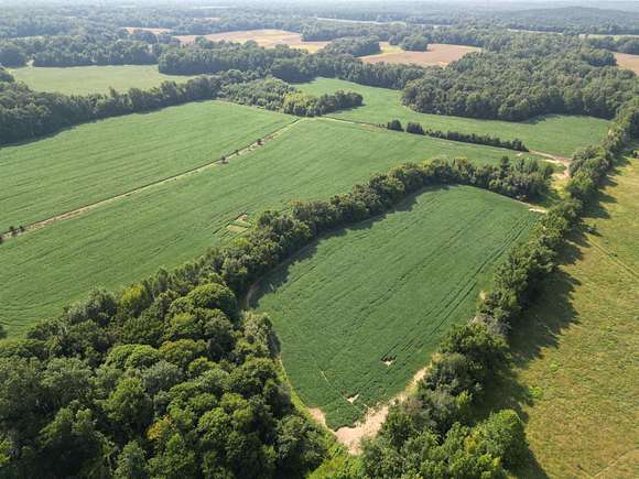 113.7 Acres of Recreational Land & Farm for Sale in Grand Junction, Tennessee