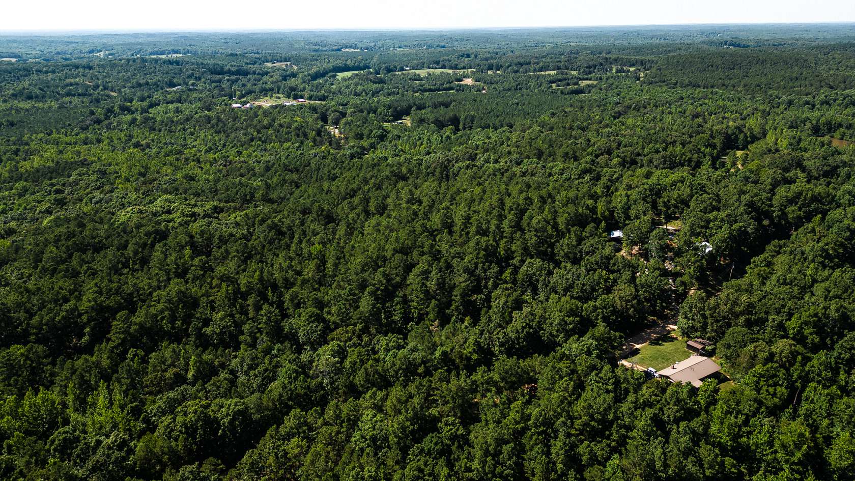 15 Acres of Recreational Land for Sale in Walnut, Mississippi