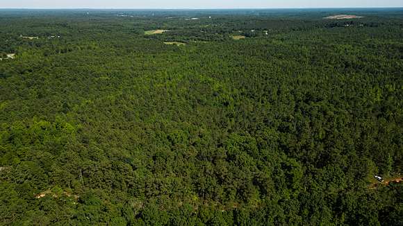 10 Acres of Recreational Land for Sale in Walnut, Mississippi