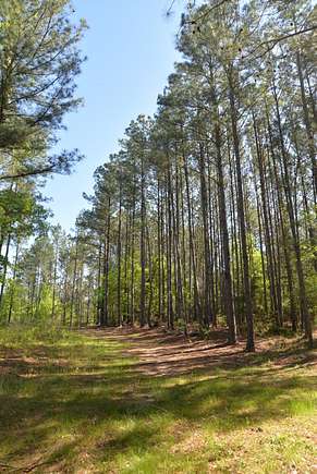 263 Acres of Recreational Land for Sale in Chester, South Carolina