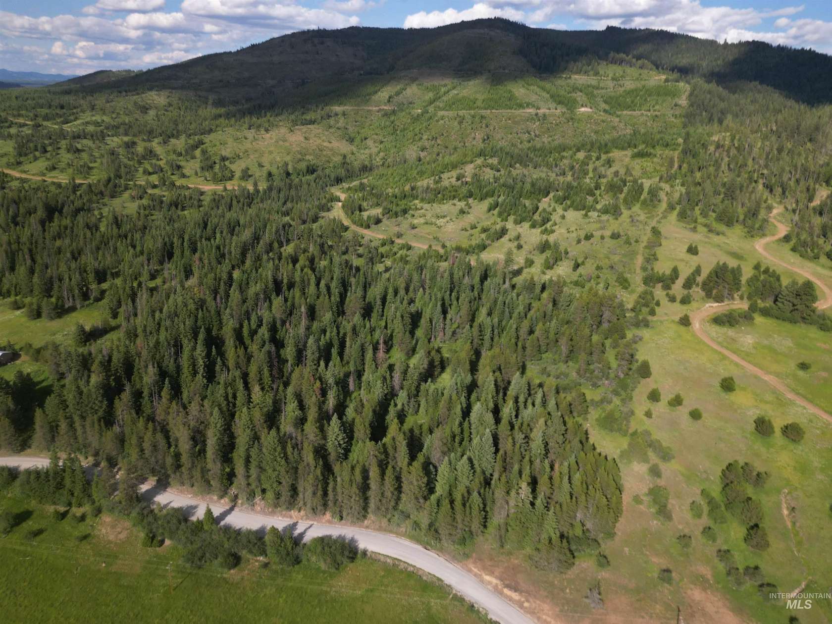 13.13 Acres of Land for Sale in Emida, Idaho